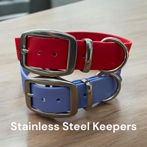 BioThane® Dog Collar with Stainless Steel Buckle image 6