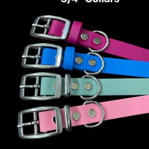 BioThane® Dog Collar with Stainless Steel Buckle image 3