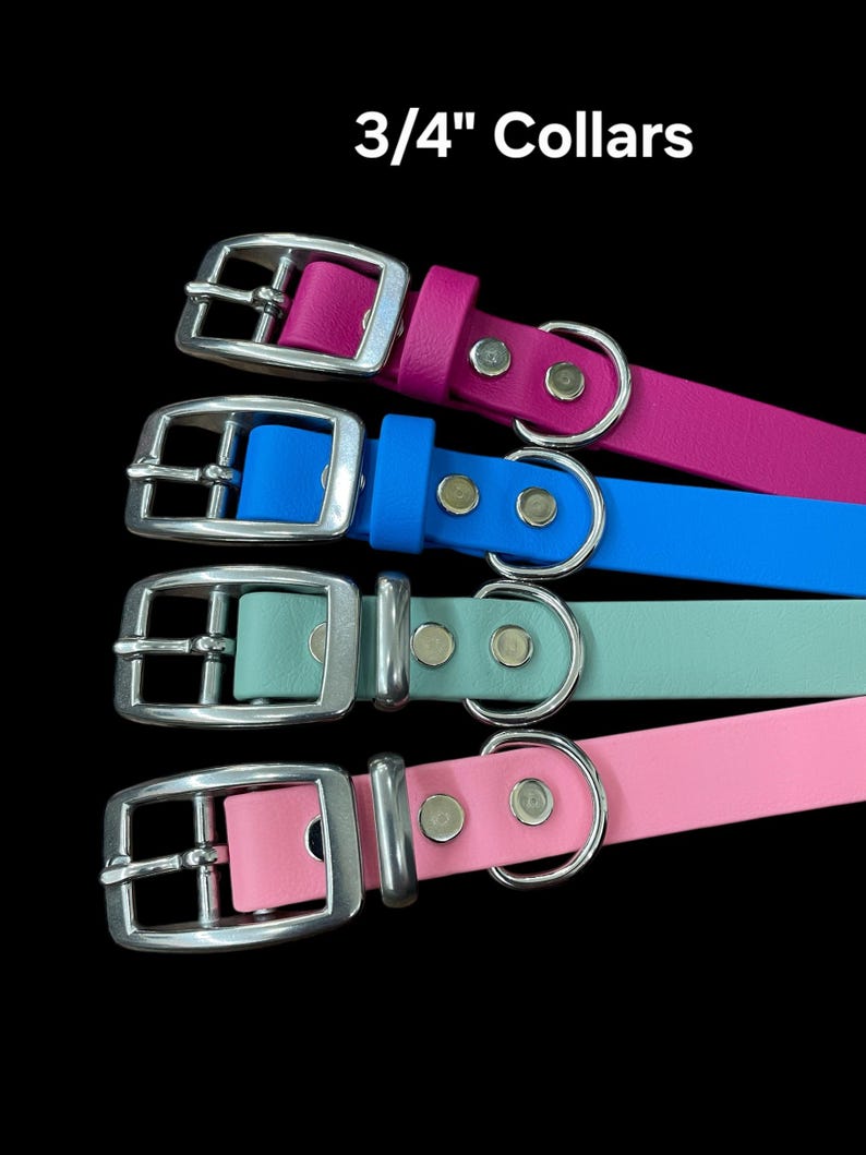 BioThane® Dog Collar with Stainless Steel Buckle image 3