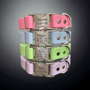 1" Wide BioThane® Dog Collar with Engraved Silver Quick-Release Buckle