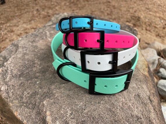 Biothane® Dog Collar With Black Buckle - Etsy