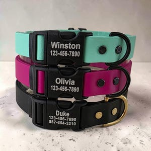 May include: Three stacked pet collars in mint green, magenta, and black. Each features a black plastic buckle engraved with a name and phone number. The top two have black metal D-rings, while the bottom collar has a gold-toned metal D-ring.