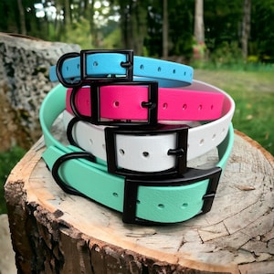 BioThane® Dog Collar with Black Buckle