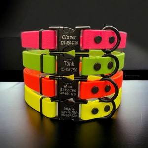 May include: A stack of four neon-colored pet collars in pink, lime green, orange, and yellow. Each collar features a black plastic buckle engraved with a name and phone number, a black metal D-ring, and two black rivets securing the strap.