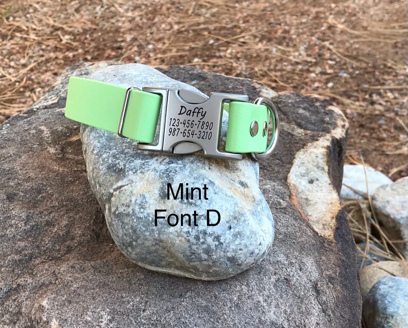 1 Wide Biothane Dog Collar With Engraved Silver Buckle Etsy