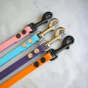 May include: Four flat leashes in pink, light blue, purple, and orange. Each leash features a metal swivel snap hook and two circular rivets securing the strap. The pink and orange leashes have matte black hardware, while the blue and purple leashes have polished silver-tone metal hardware.