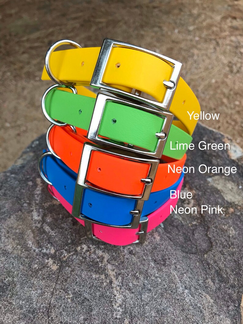 3/4 Wide BioThane Dog Collar with Traditional Buckle Etsy