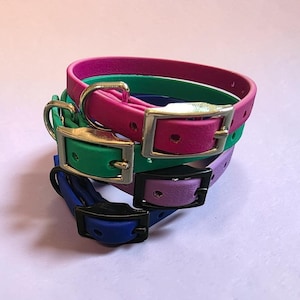 3/8" Wide BioThane® Dog Collar for Toy-Sized Dogs