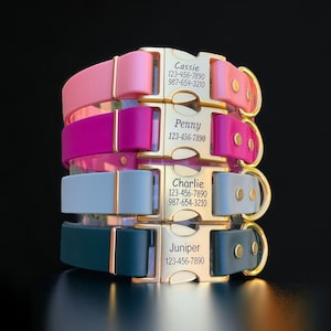 1&quot; Wide BioThane® Dog Collar with Engraved Gold Quick-Release Buckle