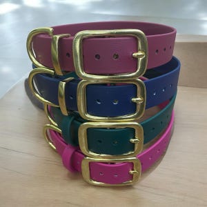 1&quot; BioThane® Dog Collar with Solid Brass Buckle