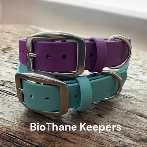 BioThane® Dog Collar with Stainless Steel Buckle image 5