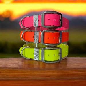 Personalized BioThane Dog Collar: Engraved Stainless Steel Keeper, Waterproof