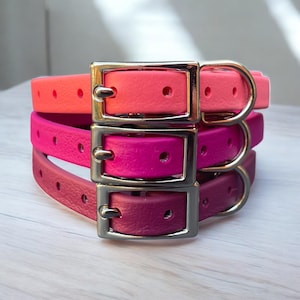 May include: A stack of three dog collars in shades of pink and red. The collars have silver metal buckles and D-rings. The colors include coral, hot pink, and deep magenta. The collars are stacked on top of each other.