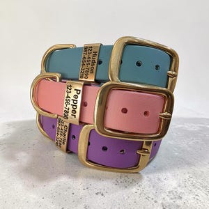 May include: Stacked dog collars in teal, pink, and purple with gold-colored buckles. Each collar has a name tag with a name and phone number. The names on the tags are Hudson, Pepper, and Charlie.
