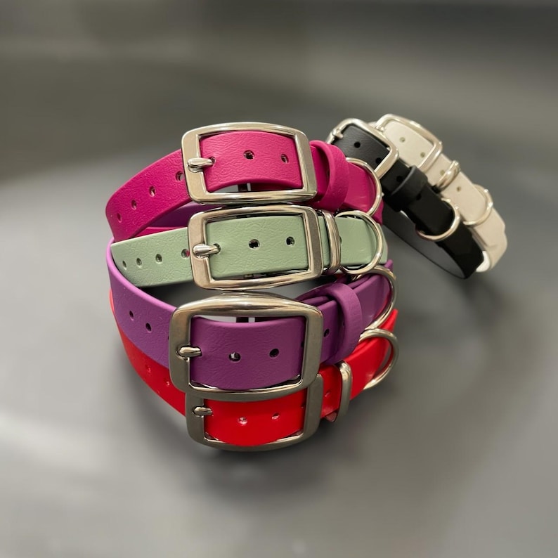 BioThane® Dog Collar with Stainless Steel Buckle image 1