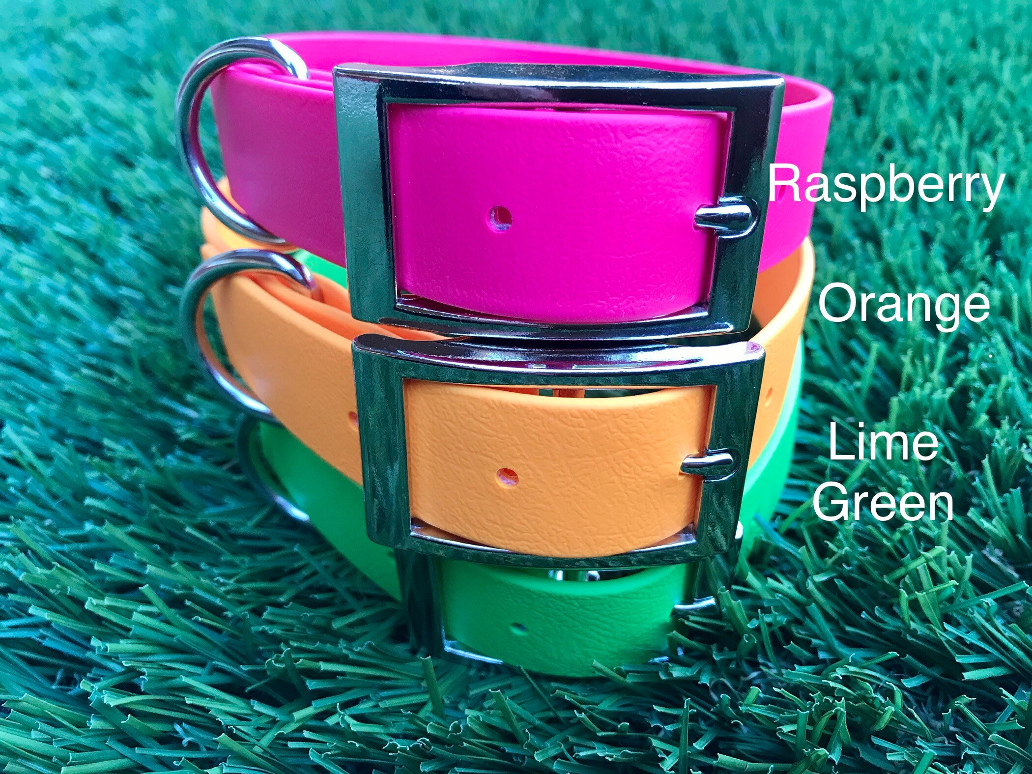 1 Wide BioThane Dog Collar with Traditional Buckle Etsy