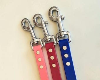 3/4" Wide BioThane® Dog Leash with Stainless Steel Hardware for Large Dogs