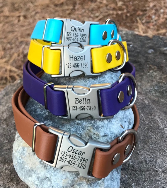 Etsy 2025 biothane collar