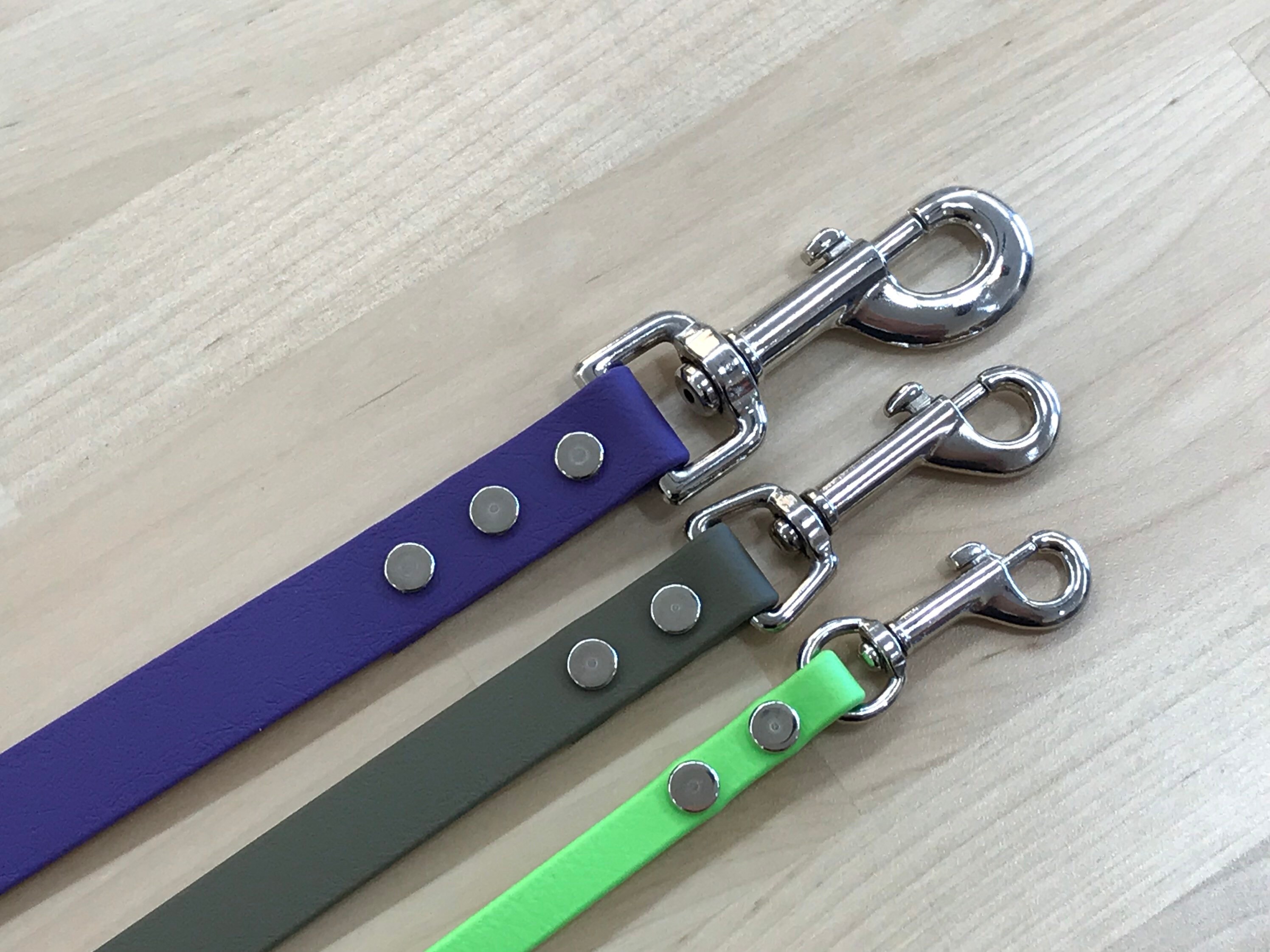 BioThane® Dog Leash with Silver Hardware