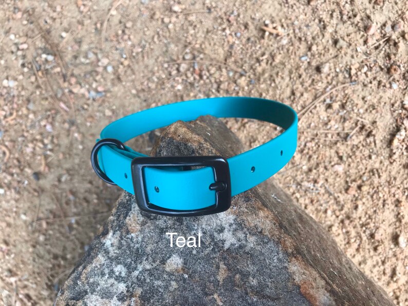 3/4 Wide BioThane Dog Collar with Black Hardware Etsy