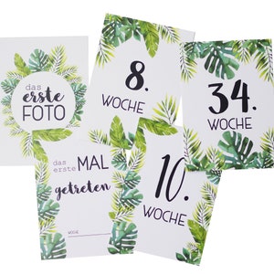 Baby Schwangerschaftskarten TROPICAL MAMA | Meilenstein Kartenset, Geschenkidee, persönlich