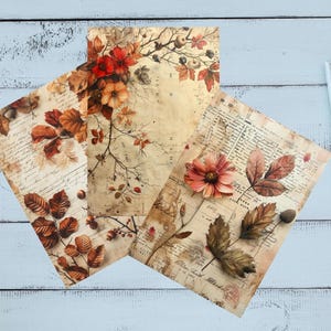 Könnte beinhalten: Drei dekorative Papierbögen mit einem Vintage-Herbstthema. Die Bögen zeigen botanische Illustrationen von Herbstblättern, Blumen und Beeren in Braun-, Orange- und Rottönen. Der Hintergrund hat eine verblasste, gealterte Papierstruktur.
