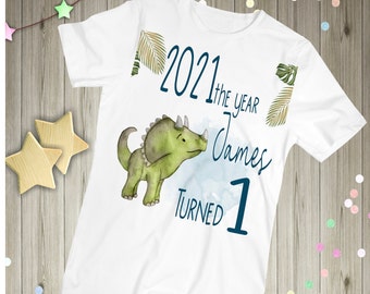 Personalised Dinosaur Birthday T- Shirt, Childs T-shirt,Birthday Gift, Dinosaur T-Shirt