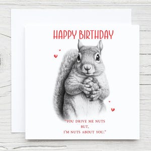 Sommaire Carte d'anniversaire écureuil, carte écureuil, Saint-Valentin, mariage, anniversaire, femme, petite amie, mari, petit ami