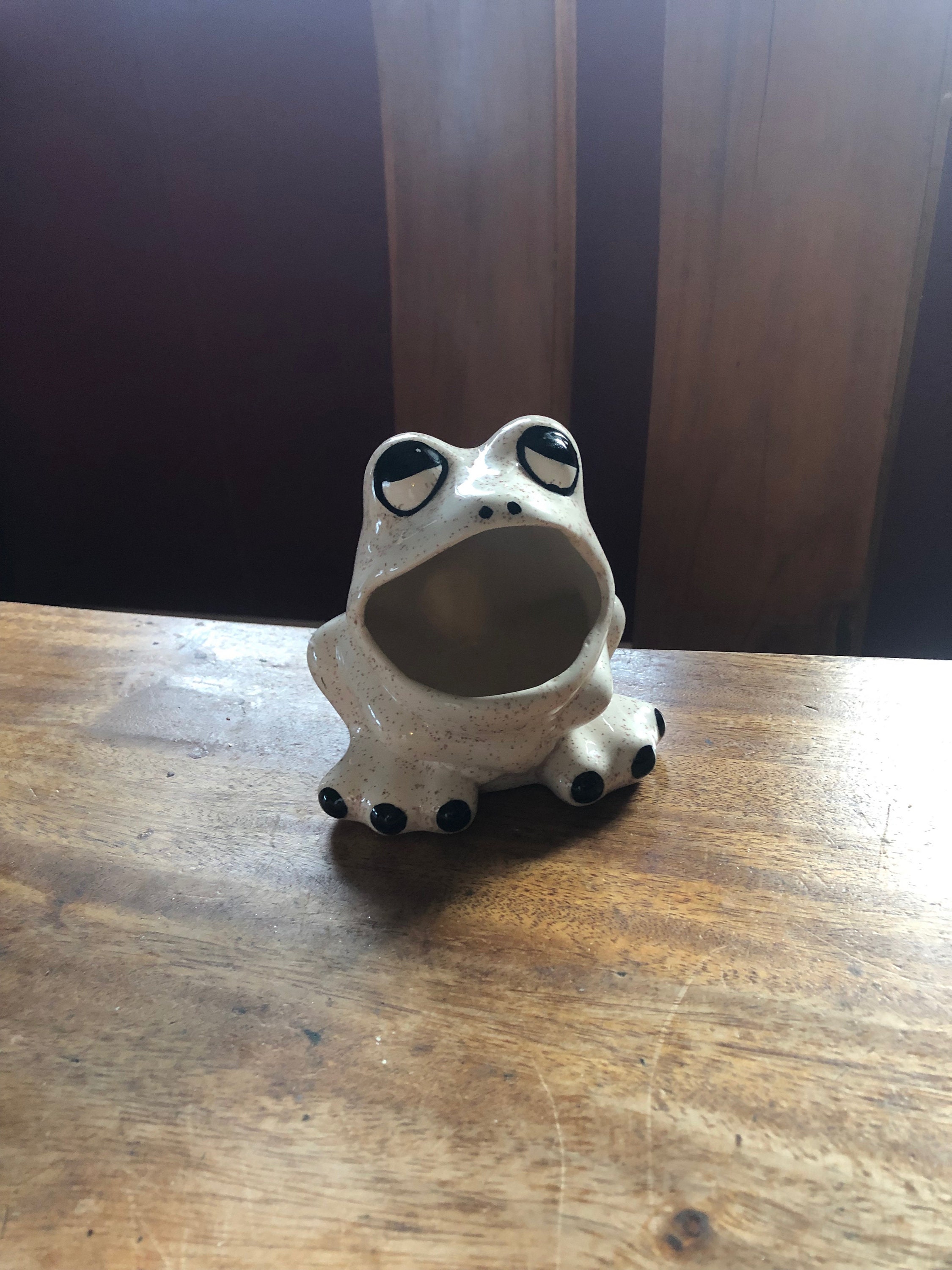 Amazing Vintage Frog Ceramic Sponge Holder From the 1970's 