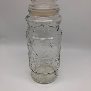 1970&#39;s Planter Peanuts jar with flowers and lid