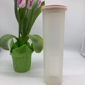Könnte beinhalten: Ein hoher, durchscheinender Kunststoffbehälter mit hellrosa Deckel. Der Behälter ist zylindrisch mit rechteckiger Basis. Daneben eine Topfpflanze mit Tulpen, grünen Blättern und rosa-weißen Blüten.