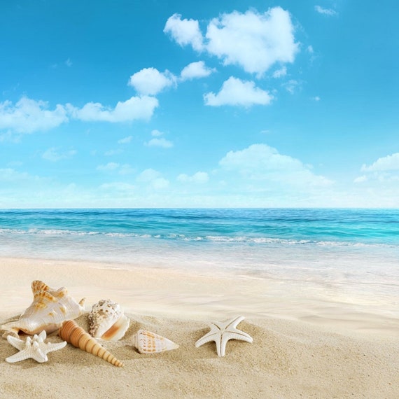 6x6FT Vinyl Wall Photography Backdrop,Ocean,Colorful Starfish Sandy Beach Photo Backdrop Baby Newborn Photo Studio Props