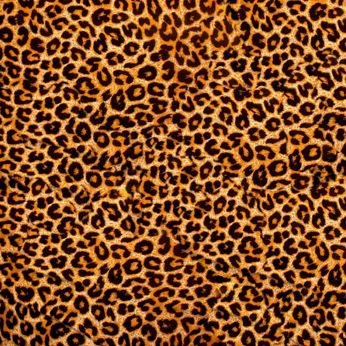 Leopard Print Backdrop For Photography Backdrops Sexy Party Etsy 