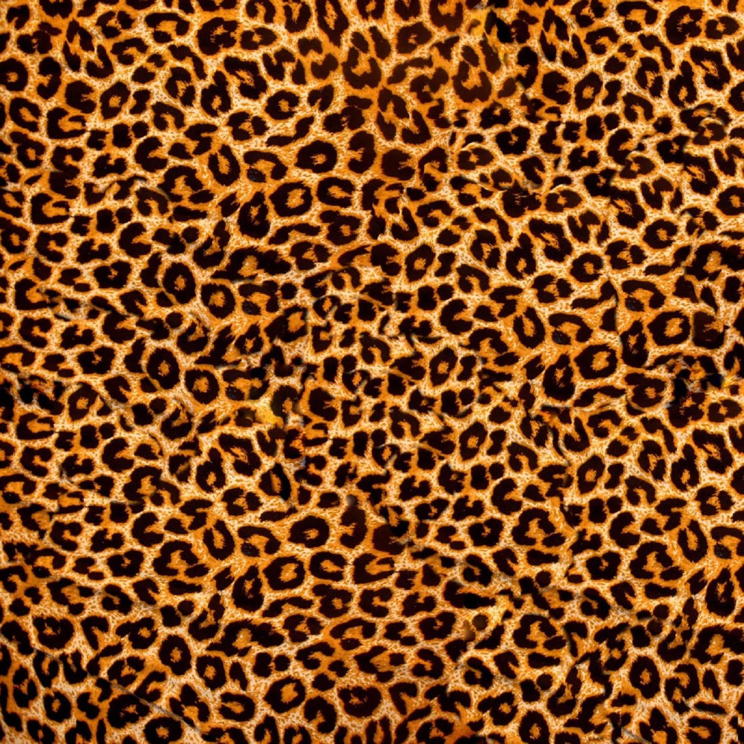 Leopard Texture Print Backdrop for Photography Animals Cloth Pattern Photo Background Red Black White Vinyl Photo Booth Props