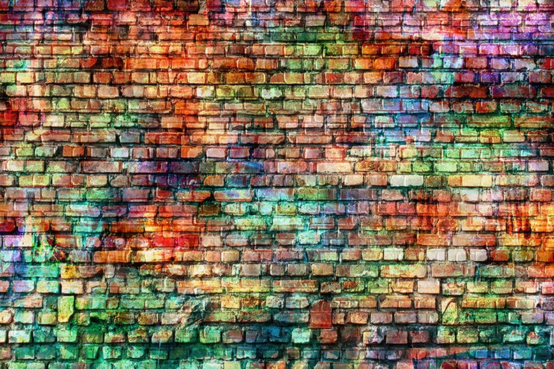 Colorful Brick Wall Graffiti Backdrop Newborn Baby Colleague