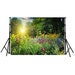 Spring Summer Digital Backdrop Sunlight Flowers Backdrop - Etsy