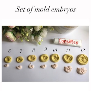 May include: A set of mold embryos, numbered 6 through 12, in various stages of development. The molds are yellow, and the corresponding embryo castings are pink. A tube of Consiflex is visible.