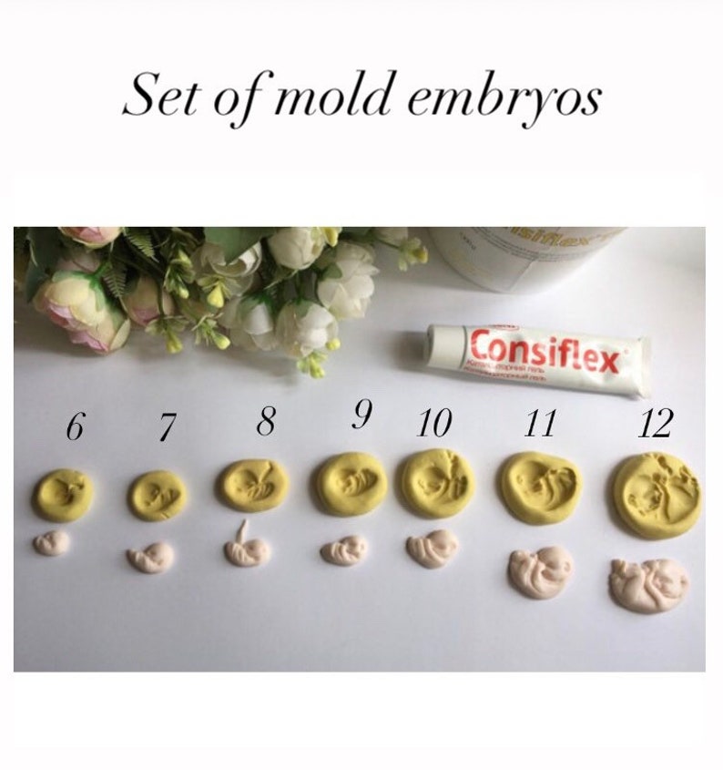 May include: A set of mold embryos, numbered 6 through 12, in various stages of development. The molds are yellow, and the corresponding embryo castings are pink. A tube of Consiflex is visible.
