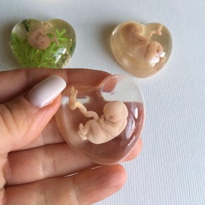 Embryo 6-7-8-10-12-16weeks fetus,baby fetus,Memorial,Honor Sculpture-babys,Memory necklace gift,keepsake necklace,miscarriage