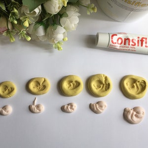 May include: A collection of yellow and pink clay molds depicting stages of fetal development, alongside a tube of Consiflex gel. The molds show various stages of a fetus, from early formation to later stages. The tube is white with red text.