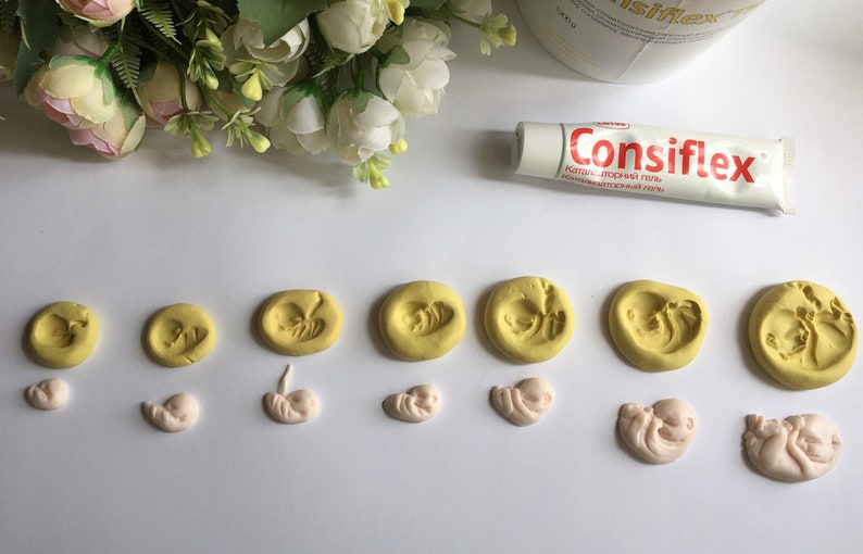 May include: A collection of yellow and pink clay molds depicting stages of fetal development, alongside a tube of Consiflex gel. The molds show various stages of a fetus, from early formation to later stages. The tube is white with red text.