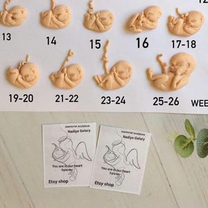 Embryo 4-12 weeks gestation fetus,Fetus, 9 weeks embryo,Honor Sculpture-babys,Gift for mothers,8 week fetus sculpture,miscarriage 7weeks
