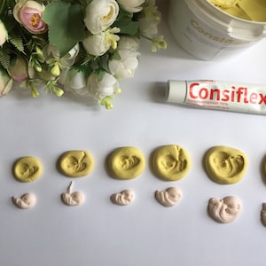 May include: An overhead shot features a collection of yellow and pink clay models depicting stages of fetal development. A tube of "Consiflex" gel and a container of yellow substance are also present, along with floral accents.