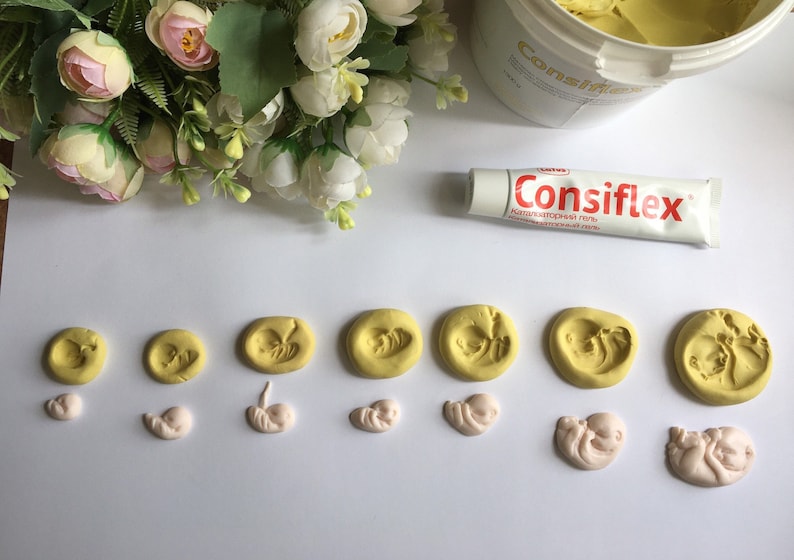 May include: An overhead shot features a collection of yellow and pink clay models depicting stages of fetal development. A tube of "Consiflex" gel and a container of yellow substance are also present, along with floral accents.
