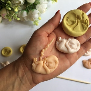 May include: A collection of handmade fetal sculptures in various stages of development. The sculptures are in shades of peach and white, with a yellow mold. The image is set against a white background, with a few white and pink flowers in the background.