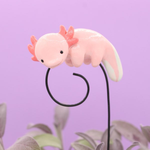 Axolotl Pflanzenstecker Blumentopf Deko Zimmerpflanze