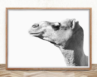 Desert Animal Print, Camel Art Print, Digital Download, Boho Prints Nursery, Modern Boho Poster, Printable Wall Art, Moroccan Decor, Dubai