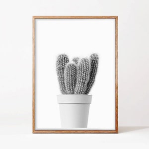 Black And White Cactus Print, Digital Download, Printable Art, Scandinavian Decor, Modern Boho, Cactus Wall Art, Cool Plant Prints,