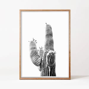 Arizona Cactus Print Black and White Print Digital Download - Etsy