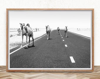 Camel Wall Art Camel Print Desert Animal Photo Camels On The Road Desert Prints Nursery Modern Boho Poster Printable Wall Art Moroccan Decor